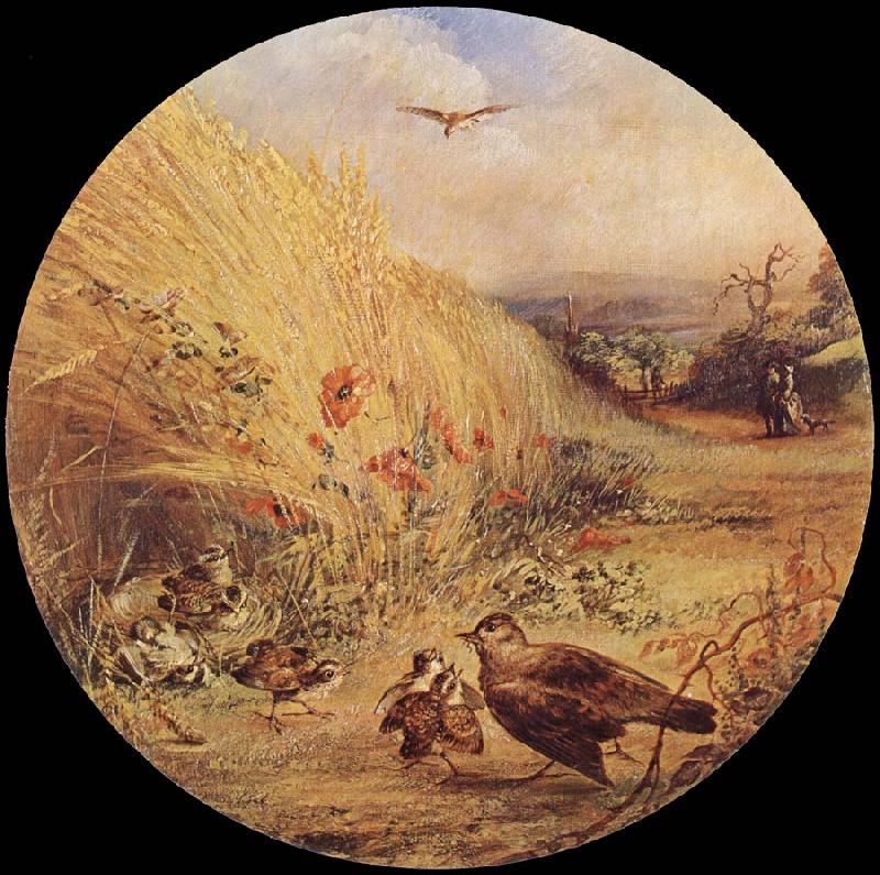 William Dexter Wheatfield with bird-s nest